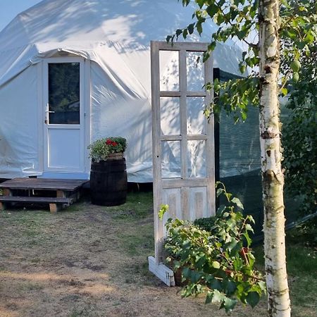Hostal Dacha Club Novyye Bezradichi Exterior foto